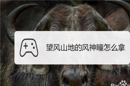 如何拿到女士秘境上的神瞳