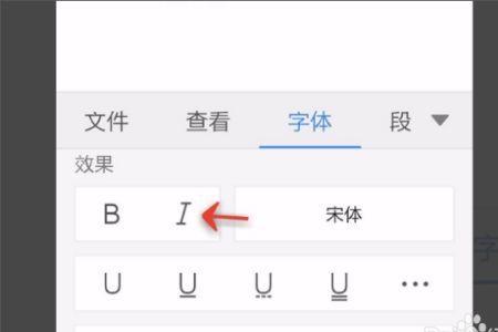手机wps哪个字号最大