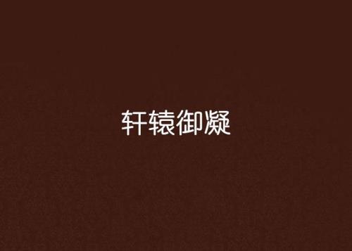 男主轩辕冽天的小说