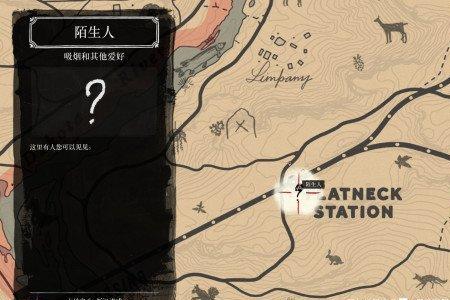 荒野大镖客2线上技能卡搭配