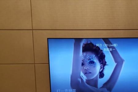 tcl电视语音功能失效咋回事