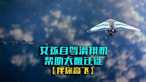 小孩带大雁迁徙电影