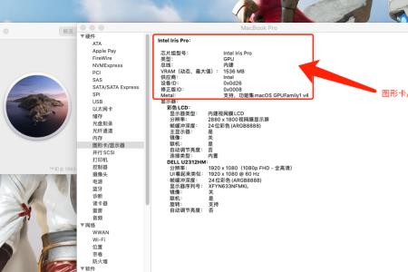 macbook怎么才能把文件保存到位置盘