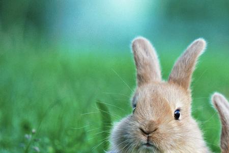 854*540分辨率清晰吗