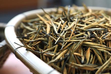 用安吉黄金芽配茉莉干花泡茶