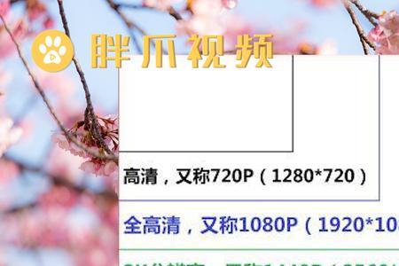 8k纸分辨率是多少