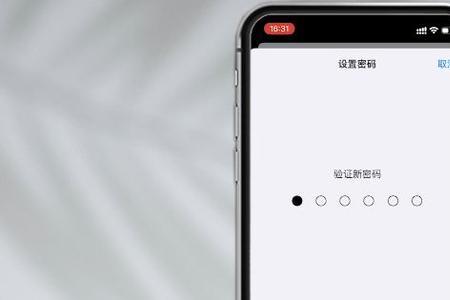 苹果x屏幕中间有一个锁