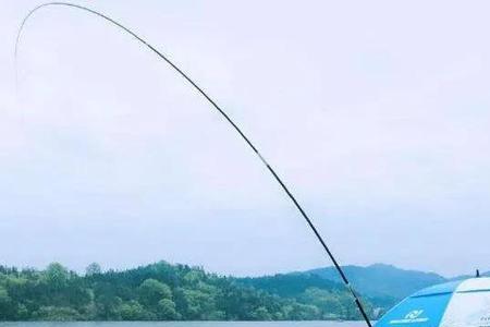 斗米适合哪些水域