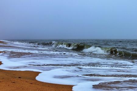 飞奔的浪花拟人句