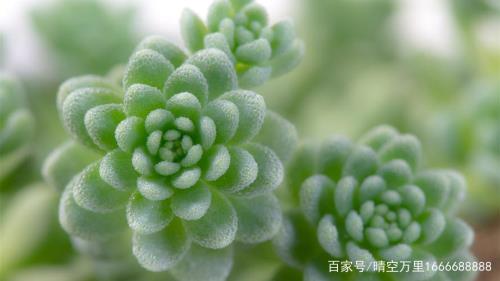 顾续尘叶敏小说结局