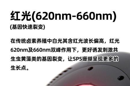 积光飞碟a8灯怎么重置
