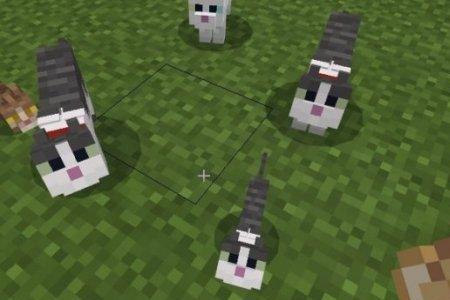 我的世界怎么生成猫