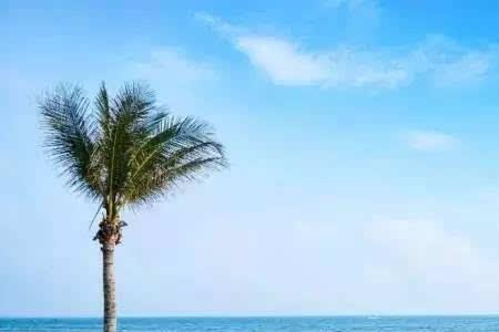 北海冬天穿什么衣服