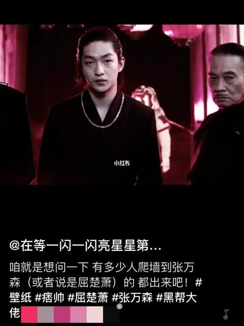 一闪一闪亮星星导演