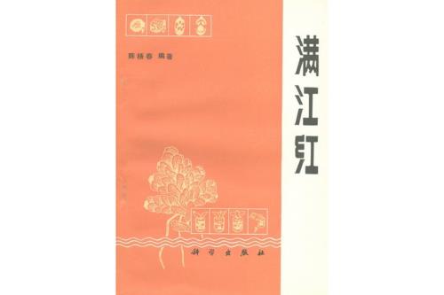 机顶盒可以看满江红吗