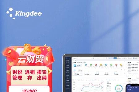 金蝶精斗云优点和缺陷