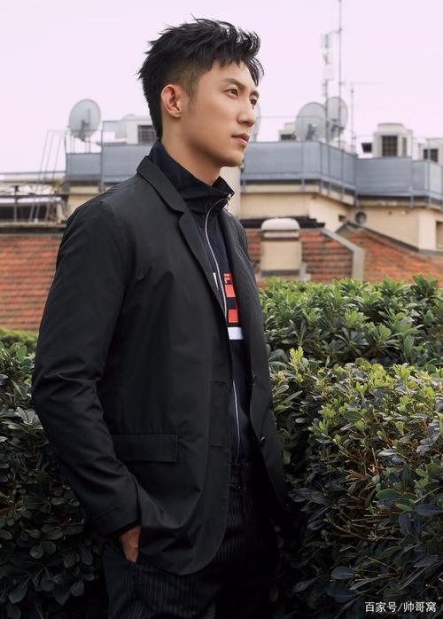 黄景瑜属于什么类型的帅哥