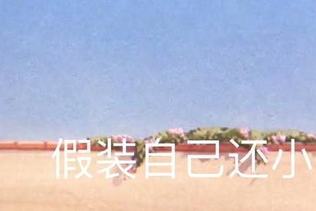 2019年发的朋友圈怎么没有了