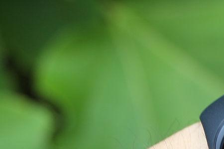 小米手环7连接不上