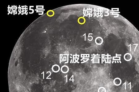 五号元素实战效果