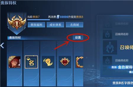 王者荣耀瞻前版怎样升贵族十