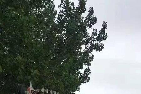 中联50吨吊车电脑调整方法