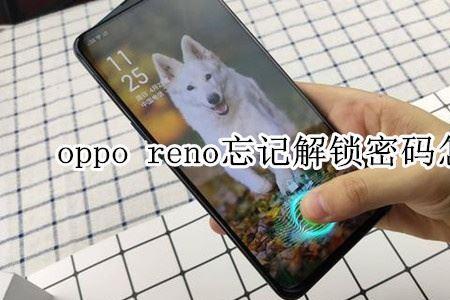 opporeno6设了指纹忘了密码