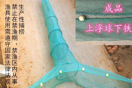 为什么鱼进了笼网就出不来了
