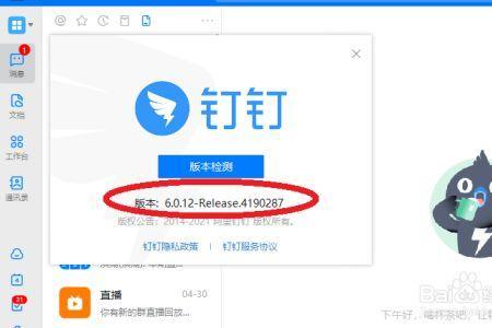 电脑版钉钉加载不出来