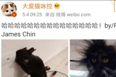 好奇心害死猫下一句是什么意思