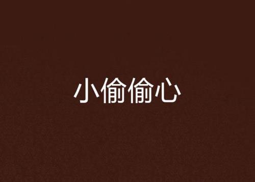 关于小偷的小说都有什么啊