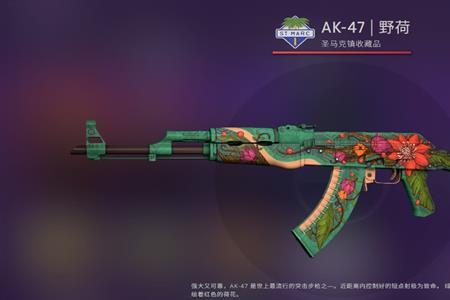 ak段位什么水平csgo ak段位厉害吗