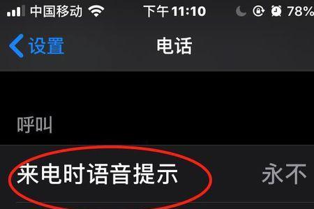 苹果手机默认语音号码什么意思