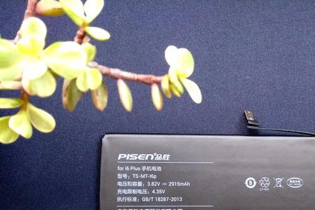 品胜电池怎么查询真伪啊