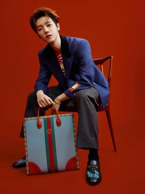 2023春晚有陈哲远吗