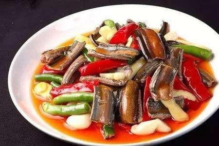 鳝鱼钻进厨房下水道怎么办
