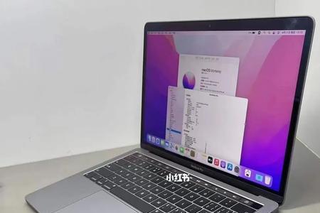 macbookpro133寸8g够用吗