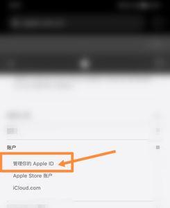 苹果手机被登录是怎么回事