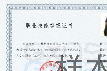 职业技能专业证书有哪些