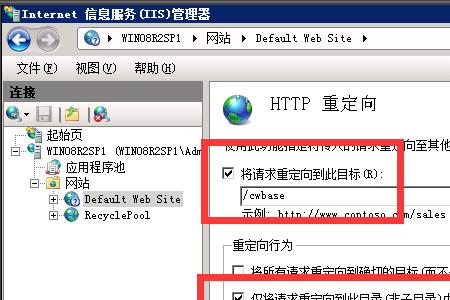 什么是IIS