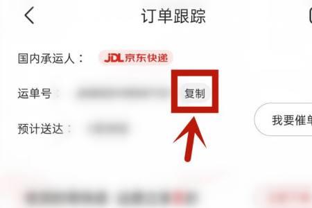 怎么查询订单编号