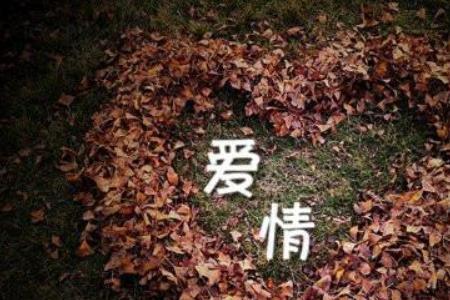 2669代表什么爱情意思