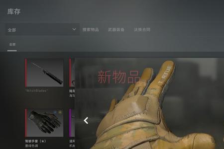 csgo苍蝇头是原探员吗