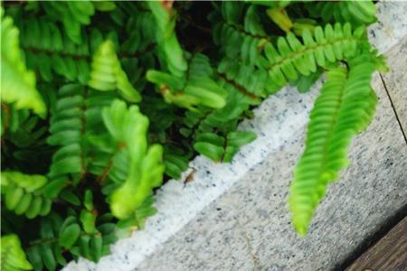 华为平板t1821w怎么连接不上网络