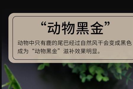 干鹿尾巴发霉了怎么处理