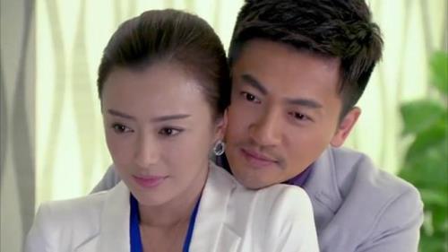 苏有朋追过秦岚吗