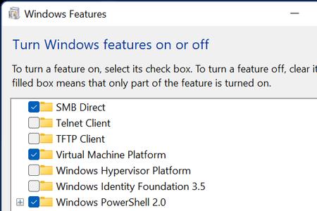 windows11恢复出厂设置卡在100