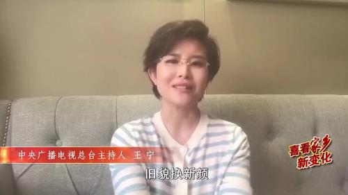 央视女主持人王宁是哪里人