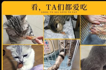 猫的鱼干有盐吗