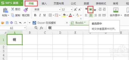 EXCEL表格无法输入任何文字
